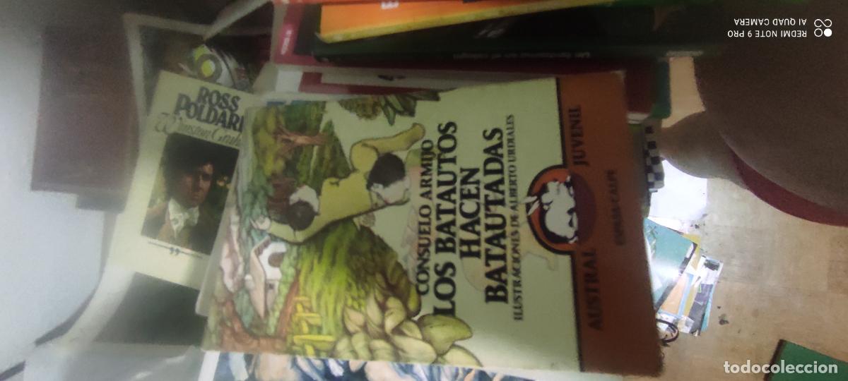 Libros de segunda mano: LOS BATAUTOS HACEN BATAUTADAS - Armijo,Consuelo