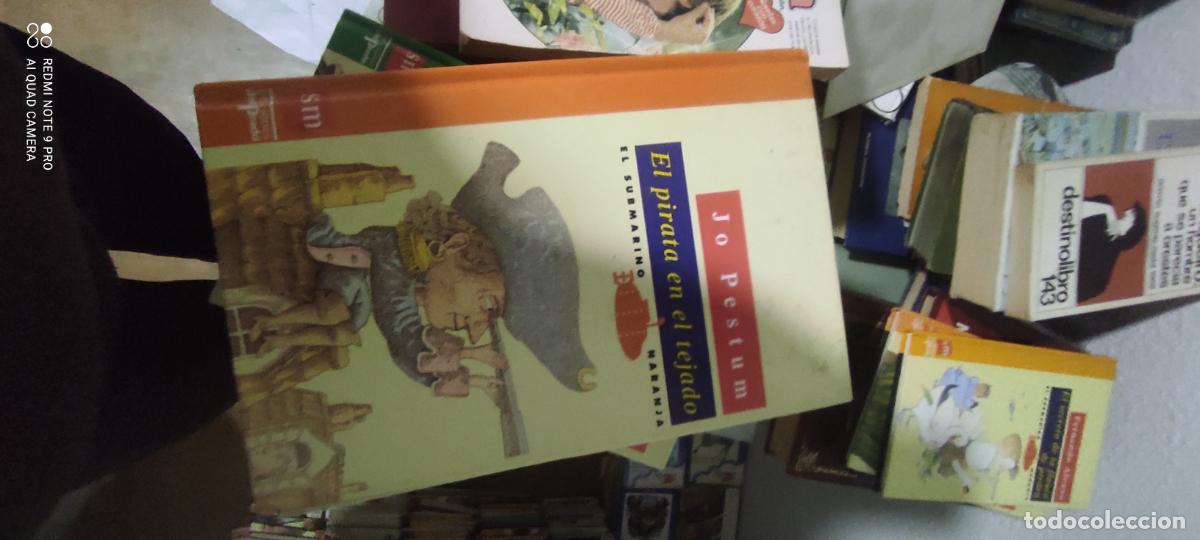 Libros de segunda mano: EL PIRATA EN EL TEJADO - JO PESTUM - EL SUBMARINO NARANJA N&ordm; 19 - SM