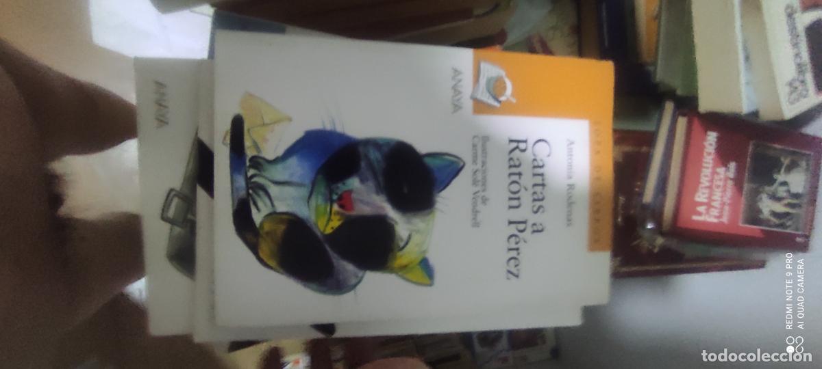 Libros de segunda mano: Cartas a Rat&oacute;n P&eacute;rez. Antonia Rodenas