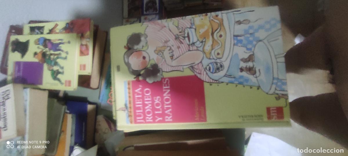 Libros de segunda mano: Julieta romeo y los ratones Mariasun Landa
