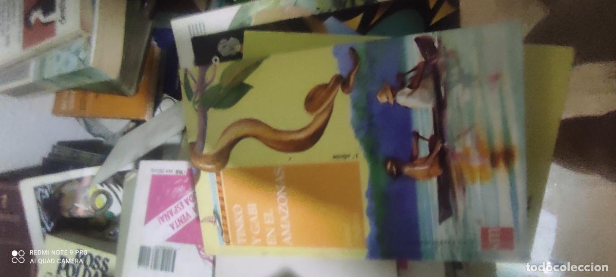Libros de segunda mano: Tinko y Gabi en el Amazonas - Cordova Rosas, Isabel