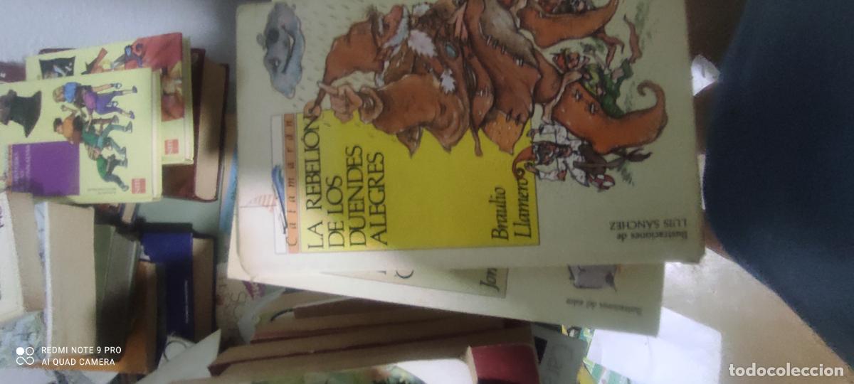 Libros de segunda mano: La rebeli&oacute;n de los duendes alegres - Braulio Llamero