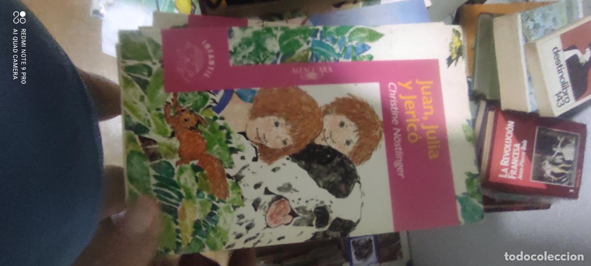 Libros de segunda mano: JUAN, JULIA Y JERIC&Oacute; CHRISTINE NOSTLINGER ALFAGUARA 2006