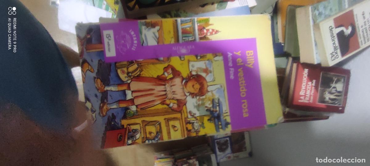 Libros de segunda mano: BILLY Y EL VESTIDO ROSA. ANNE FINE. ALFAGUARA INFANTIL.