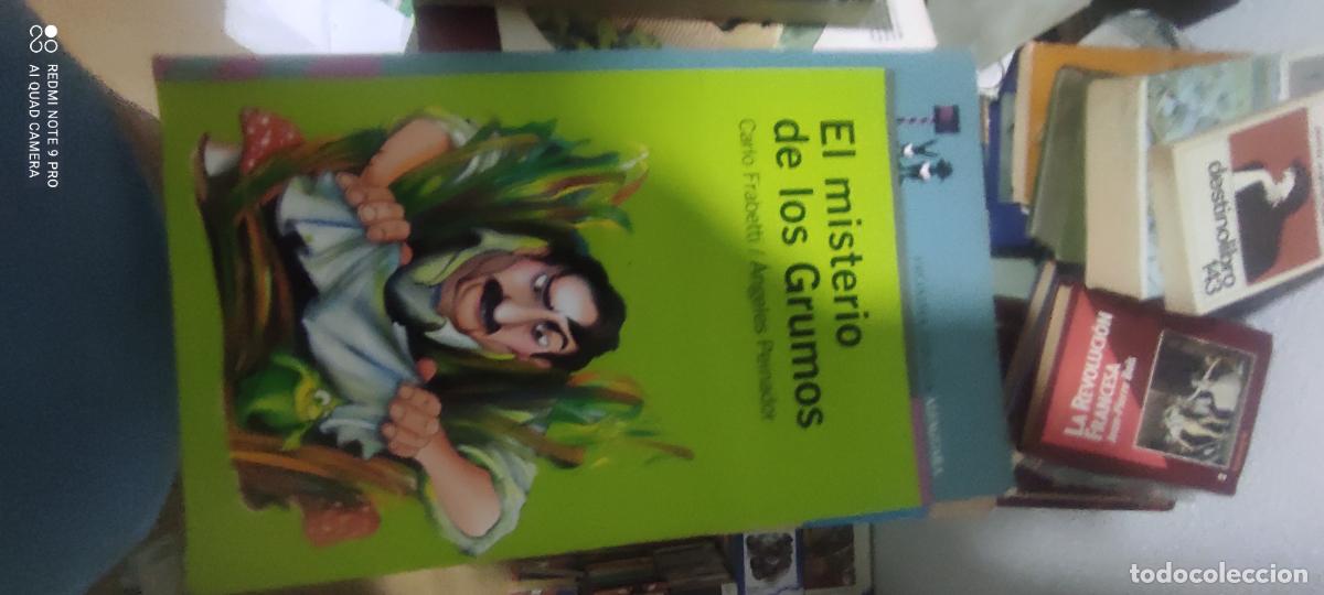 Libros de segunda mano: EL MISTERIO DE LOS GRUMOS -FRABETTI/A. PEINADOR-