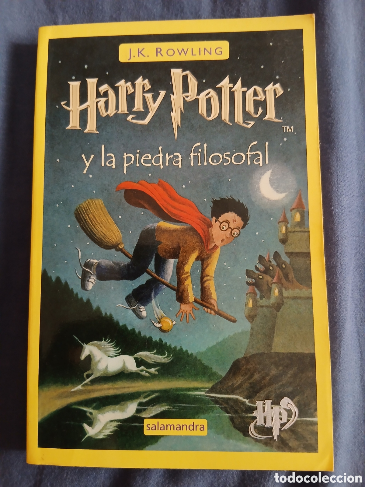 Libros de segunda mano: Libro Harry Potter y la Piedra Filosofal -Ed. Salamandra- J.K. Rowling