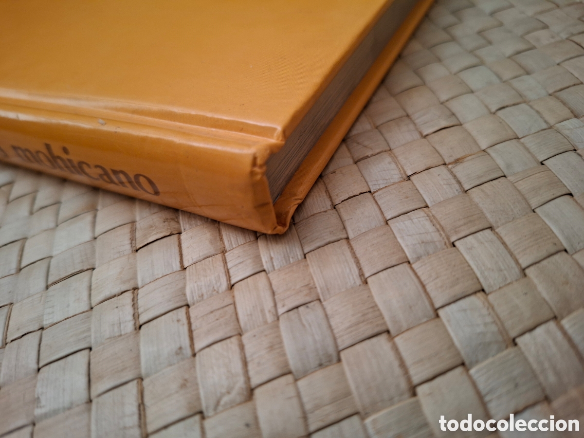 Libros de segunda mano: EL ULTIMO MOHICANO (Edelvives) - Foto 9