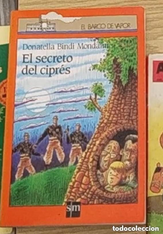 Libros de segunda mano: EL SECRETO DEL CIPRES - DONATELLA BINDI MONDAINI -- ED, SM BARCO DE VAPOR