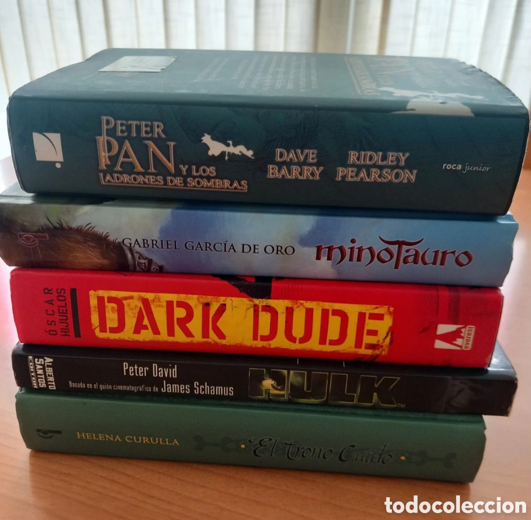 Libros de segunda mano: Lote de libros juveniles.