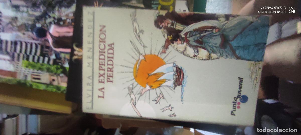 Libros de segunda mano: La expedicion perdida - Elvira Menendez; Punto Juvenil, n&ordm; 16