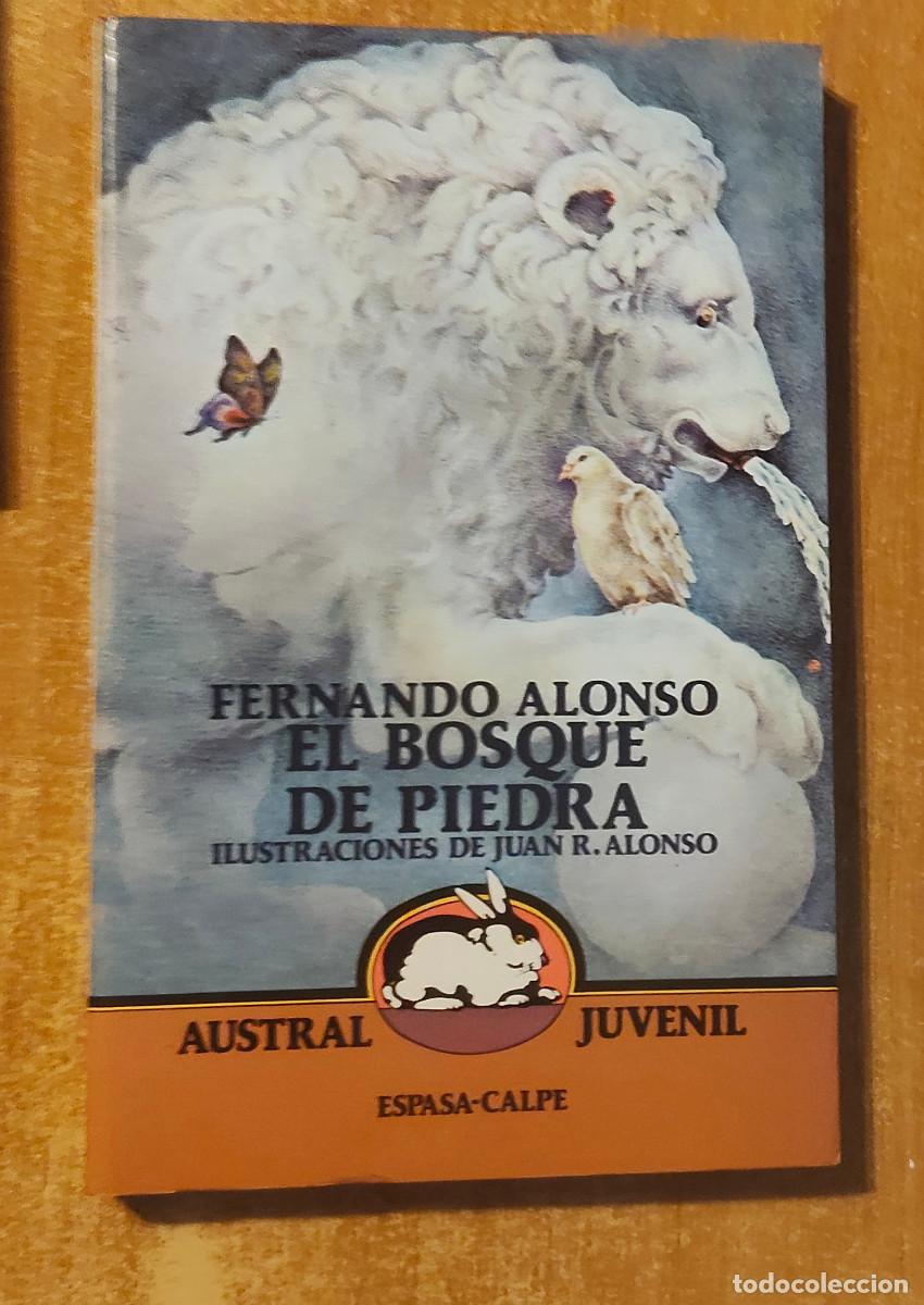 Libros de segunda mano: El Bosque de Piedra, por Fernando Alonso (Espasa-Calpe, 1985). Austral Juvenil n&deg;55.