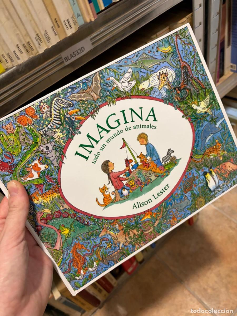 Libros de segunda mano: BLAS32D Imagina todo un mundo de animales &mdash; Alison Lester &mdash; &mdash;