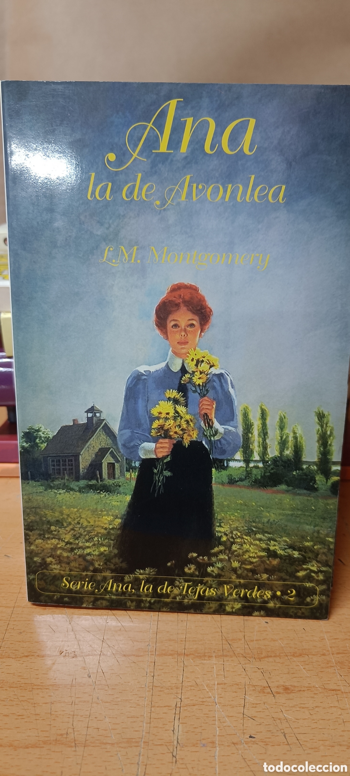 Libros de segunda mano: ANA LA DE AVONLEA. L.M. MONTGOMERY. SERIE ANA DE LAS TEJAS VERDES-2