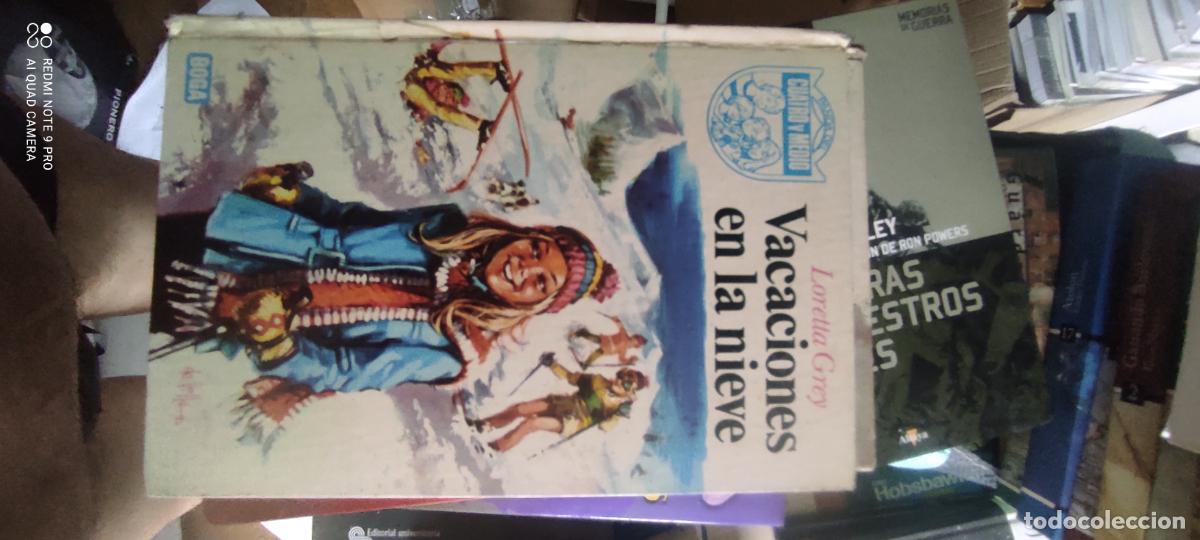Libros de segunda mano: PANDA DEL CUATRO Y MEDIO N&ordm; 6 - VACACIONES EN LA NIEVE - LORETTA GREY - BOGA 1973.