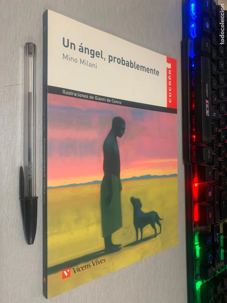 Libros de segunda mano: UN &Aacute;NGEL, PROBABLEMENTE / MINO MILANI / CUCA&Ntilde;A - VICENS VIVES 2013