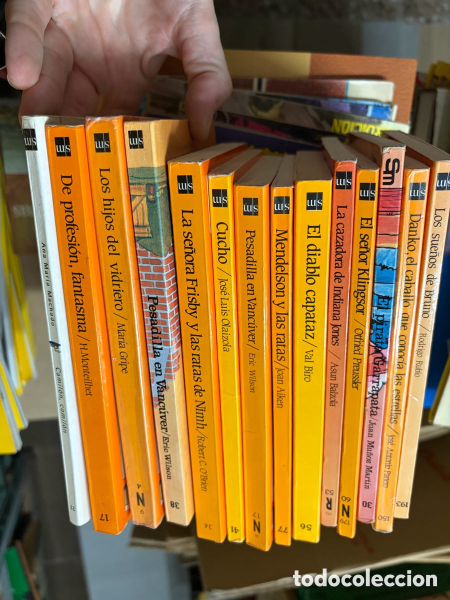 Libros de segunda mano: Lote de libros infantiles - juveniles el barco de vapor sm