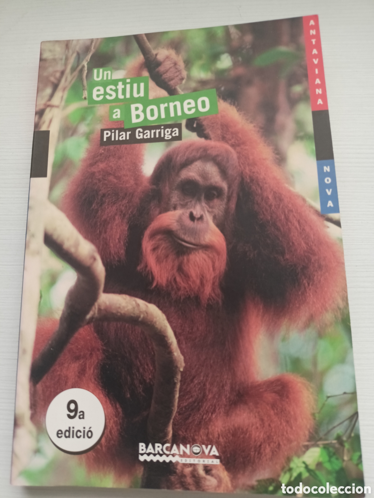 Libros de segunda mano: Un estiu a Borneo. Pilar Garriga. Catalan