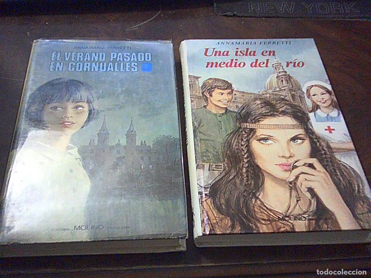 Libros de segunda mano: Lote dos libros Annamaria Ferretti. Una isla en medio del r&iacute;o. El verano pasado en Cornualles. Molin