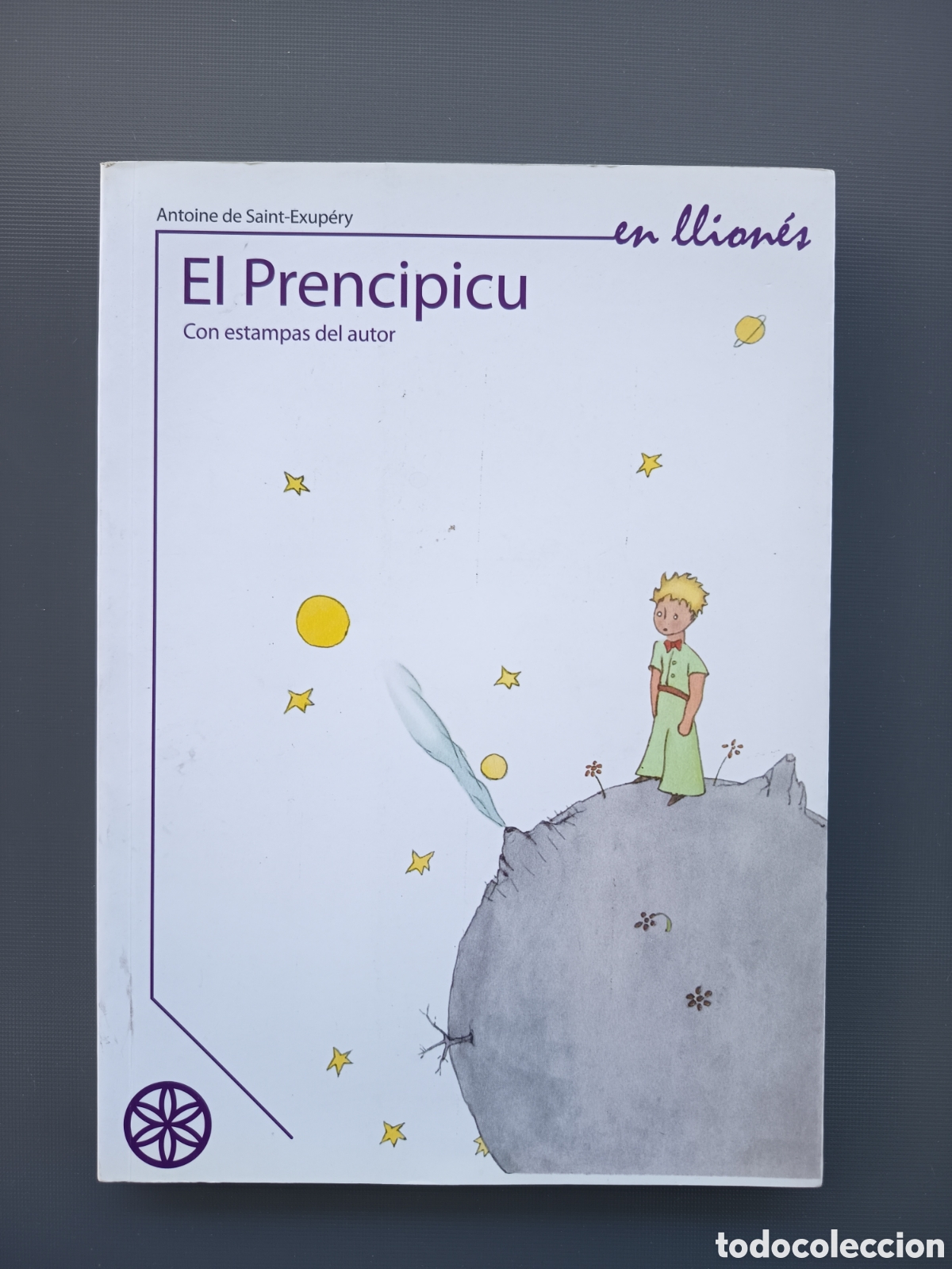 Libros de segunda mano: El prencipicu en llion&eacute;s