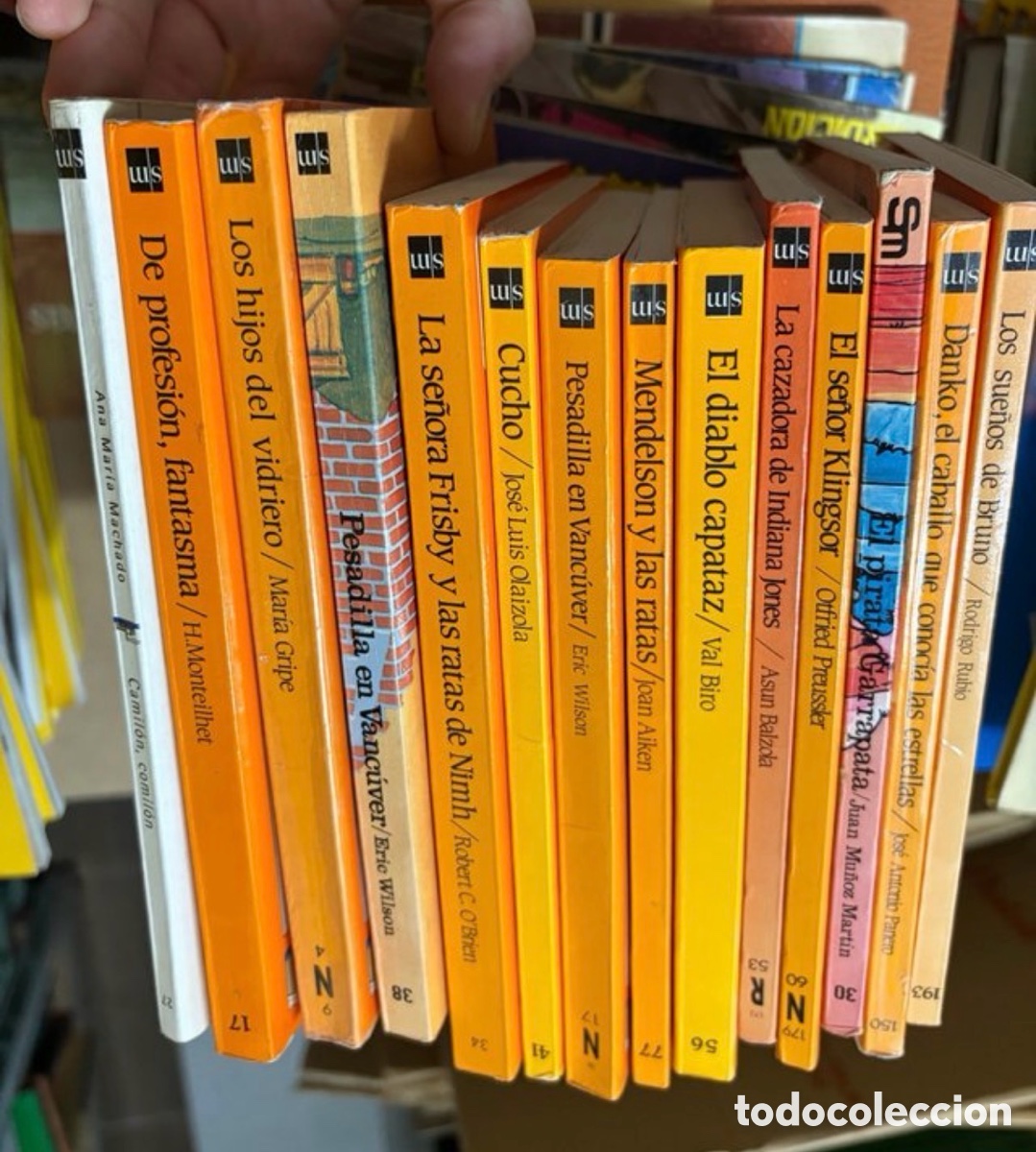 Libros de segunda mano: Lote de 13 libros el barco de vapor (sm)