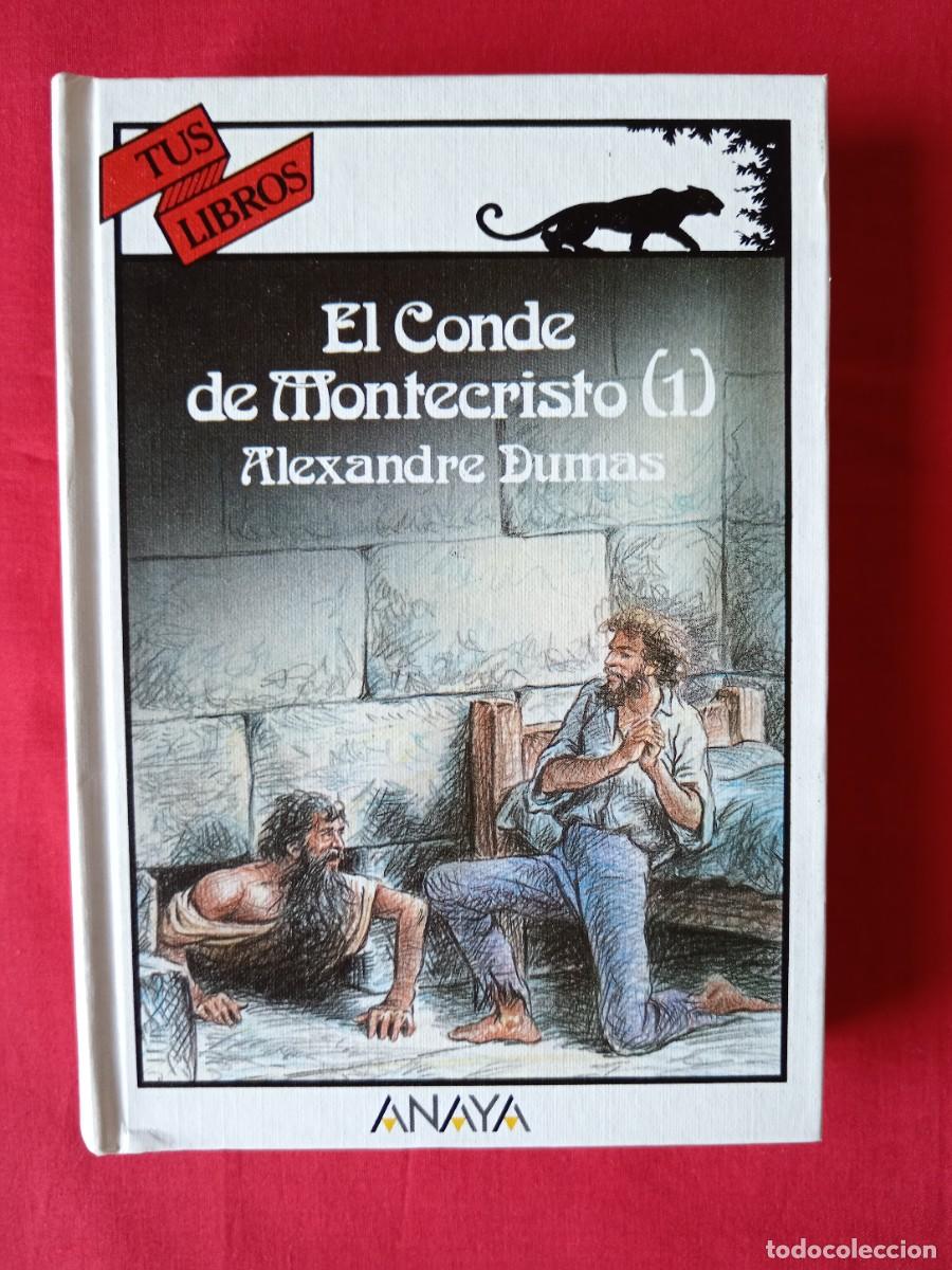 Libros de segunda mano: EL CONDE DE MONTECRISTO (1) ALEJANDRO DUMAS. TUS LIBROS ANAYA 2002 5 EDIC