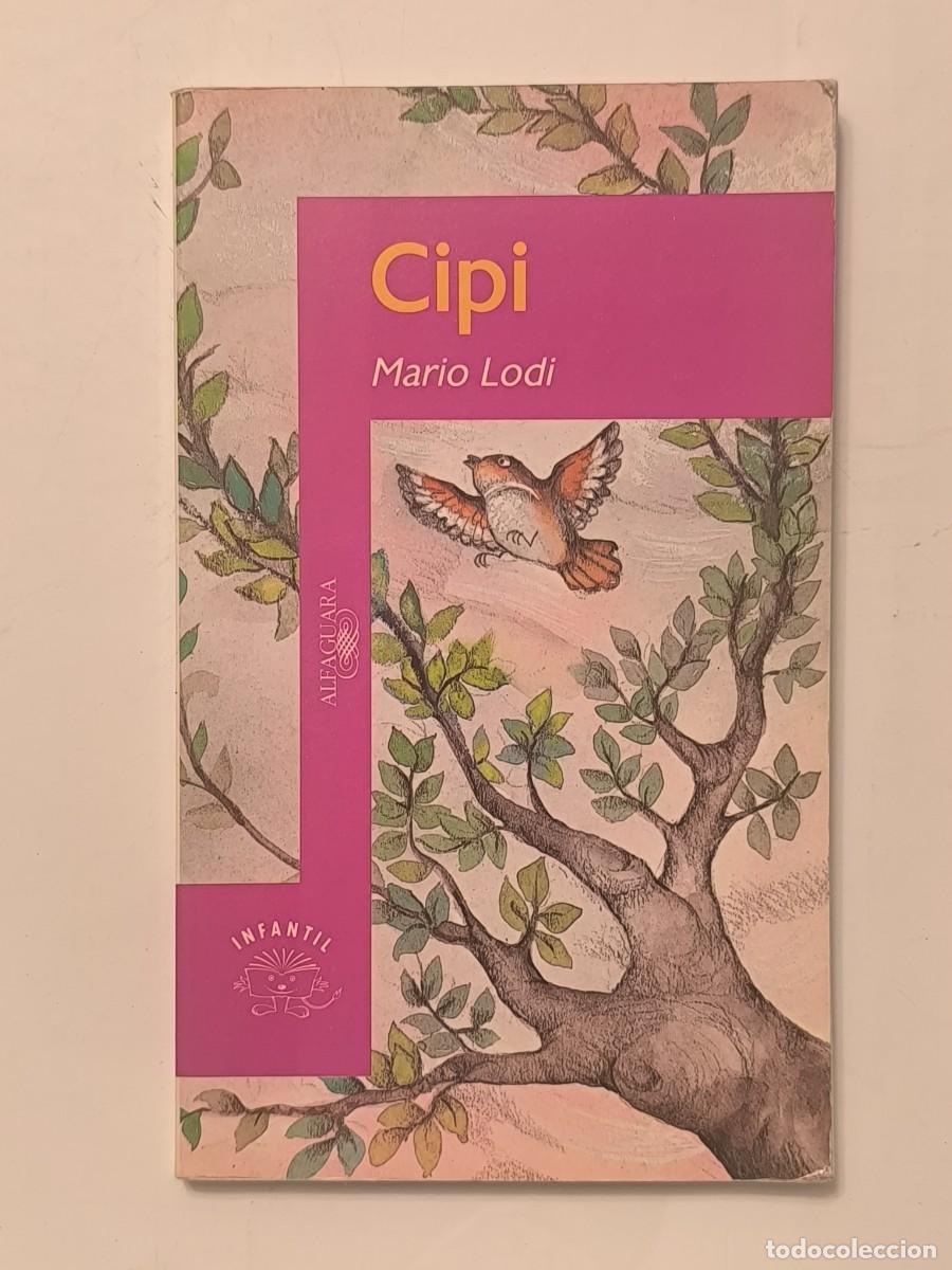 Libros de segunda mano: Cipi &ndash; Mario Lodi &ndash; Alfaguara