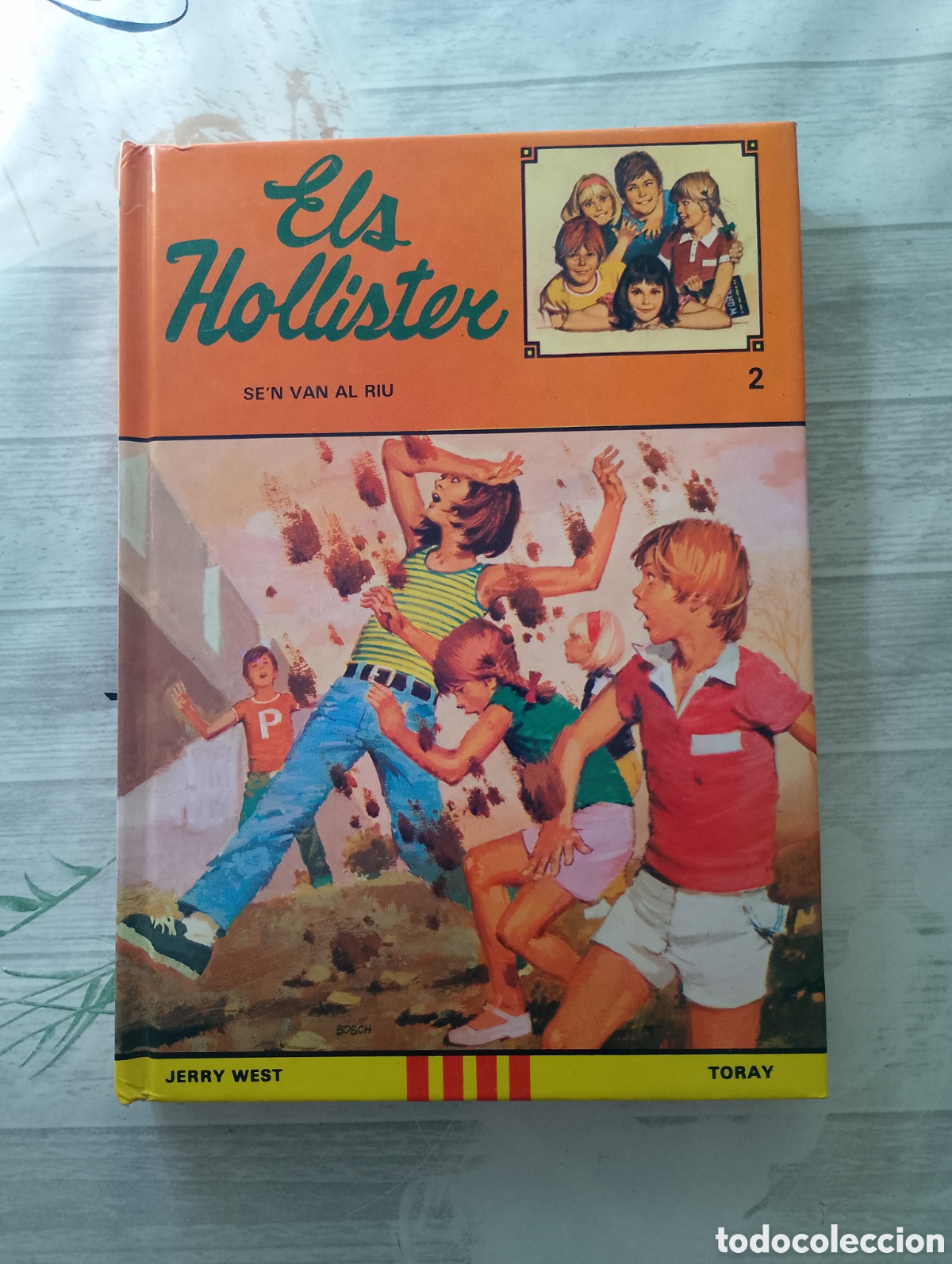 Libros de segunda mano: ELS HOLLISTER SE'N VAN AL RIU. JERRY WEST