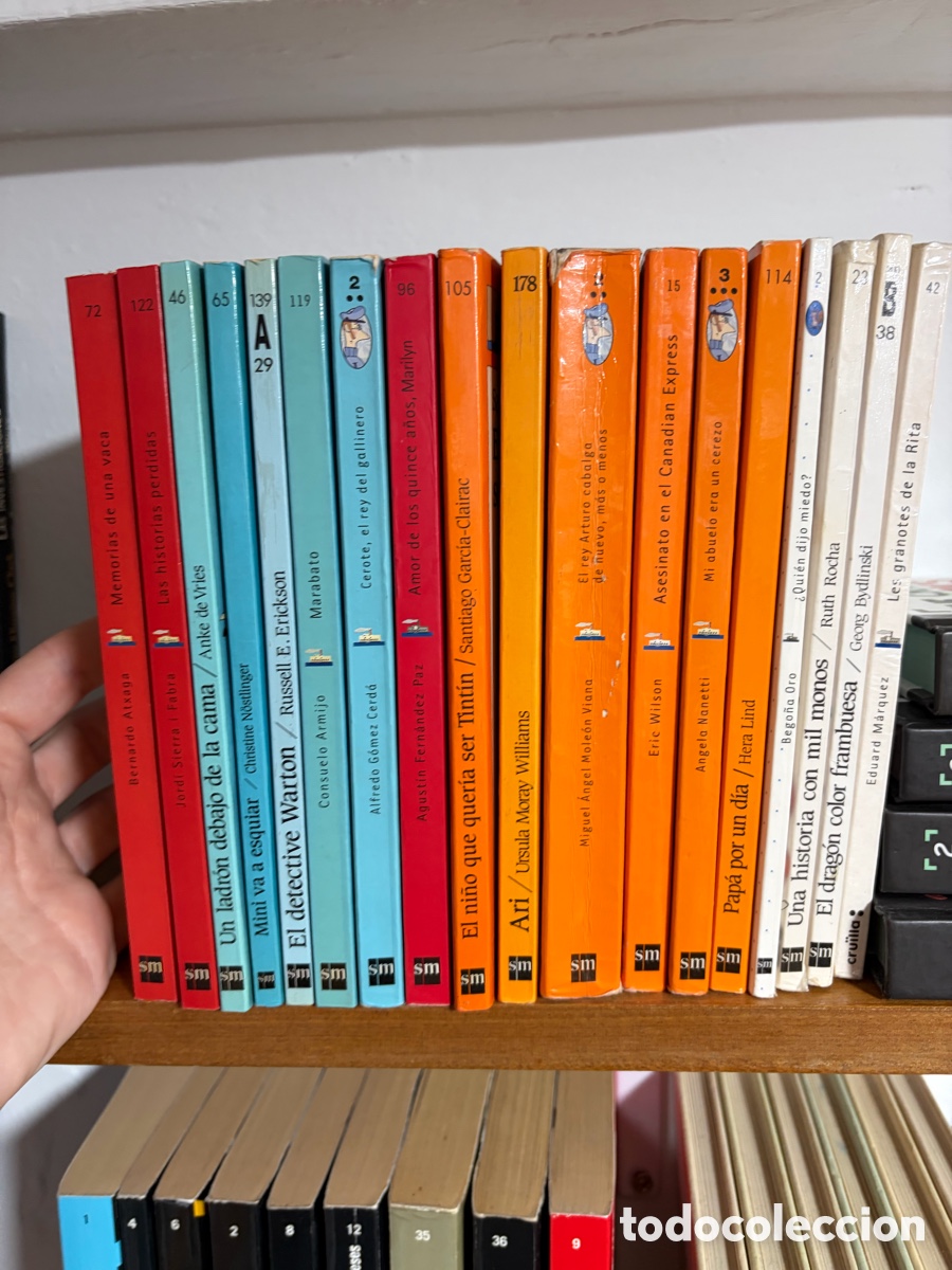 Libri di seconda mano: Lote de libros el barco de vapor (sm) para varias edades