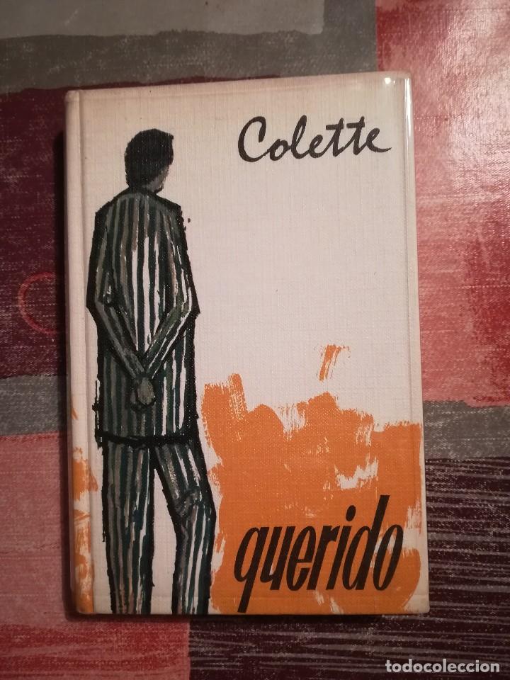 Libros de segunda mano: Querido - Colette - Foto 1