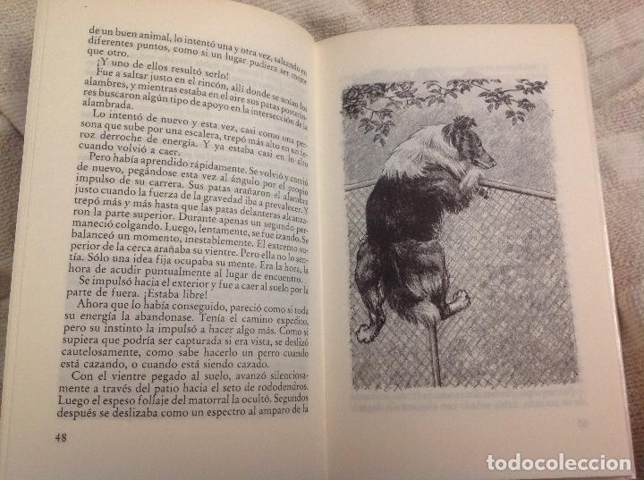 Libros de segunda mano: Libro: lassie vuelve a casa. Acm - Foto 3