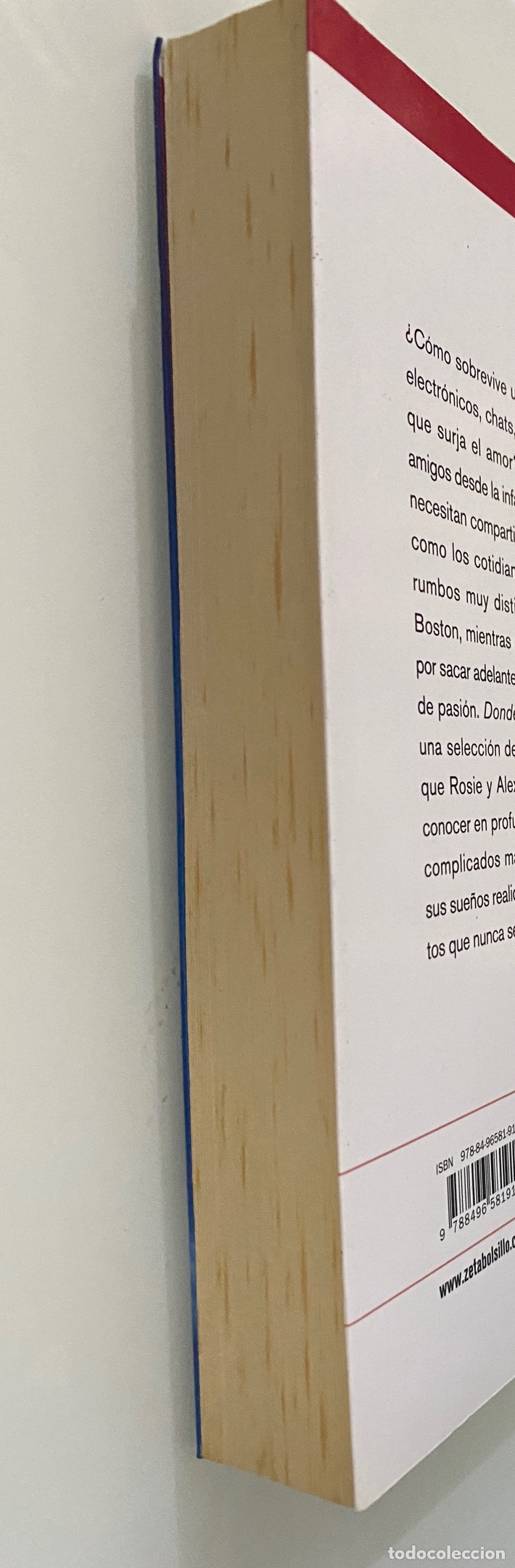 Libros de segunda mano: Donde termina el arco iris - AHERN, Cecelia - Foto 4