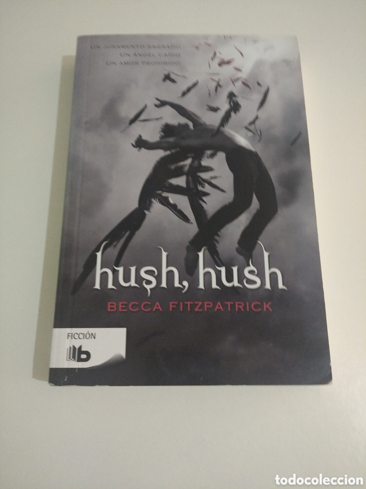 Libros de segunda mano: Hush, hush. Becca Fitzpatrick. Ediciones B 2014 - Foto 1