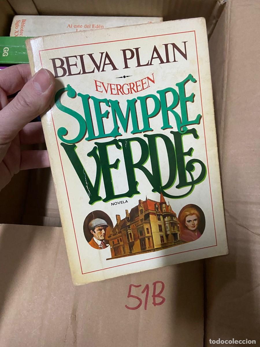 Libros de segunda mano: CAJA51B BELVA PLAIN, SIEMPRE VERDE - Foto 1