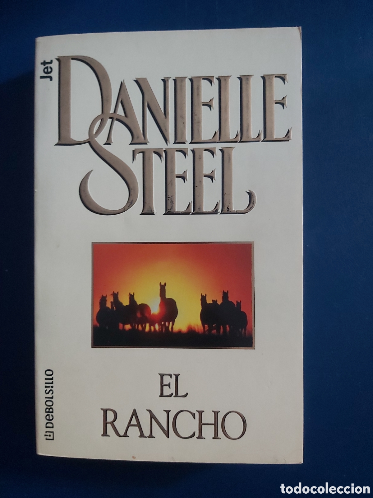 Libros de segunda mano: 13 LIBROS DANIELLE STEEL # DEBOLSILLO - Foto 4
