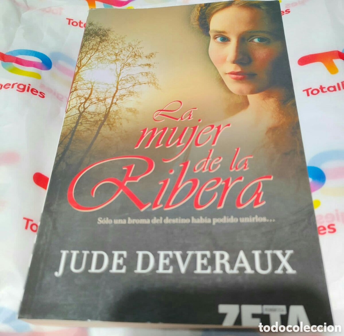 Libros de segunda mano: La mujer de la ribera Jude Deveraux - Foto 1