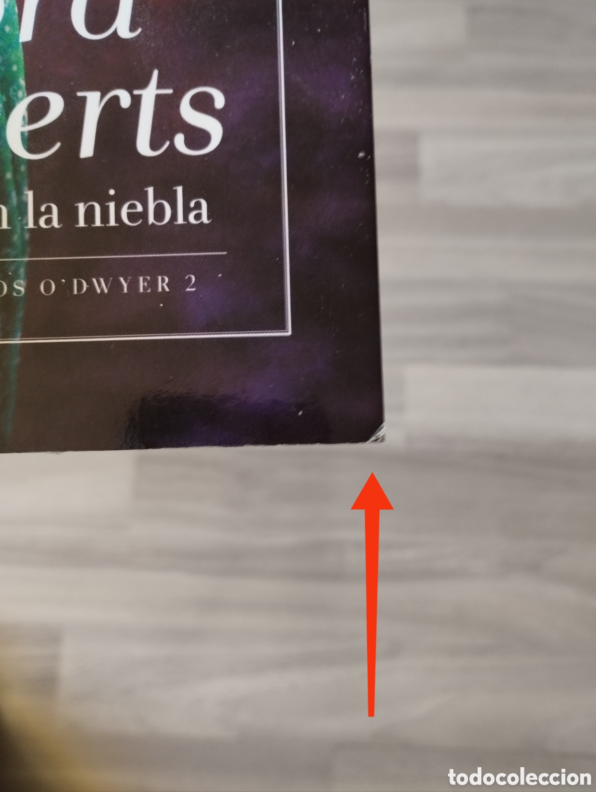 Libros de segunda mano: Libro &rdquo; Hechizo en la niebla&rdquo; - Foto 7