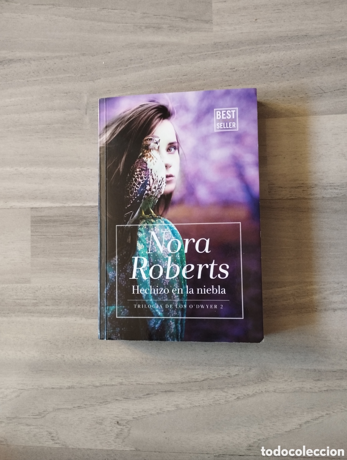Libros de segunda mano: Libro &rdquo; Hechizo en la niebla&rdquo; - Foto 1