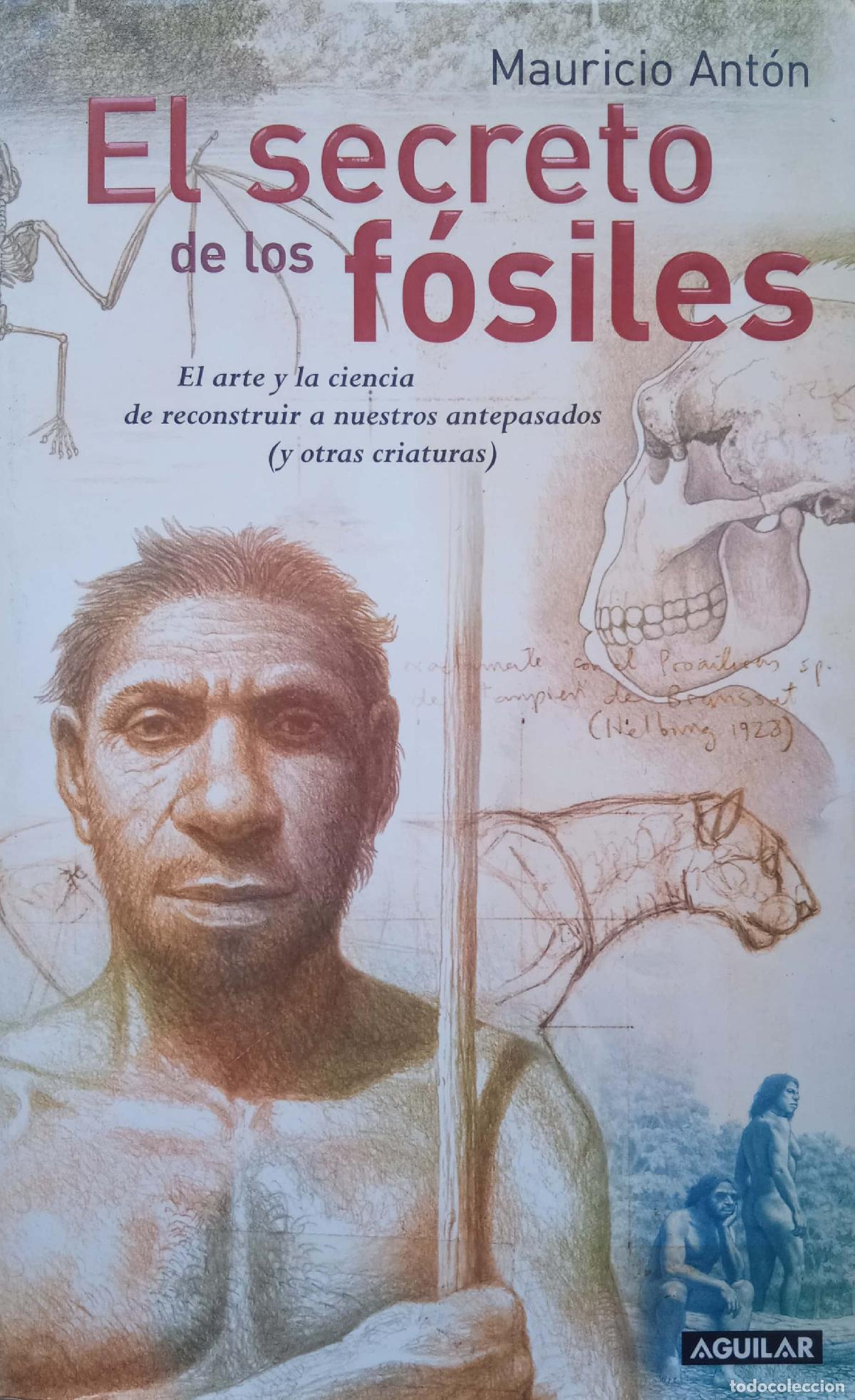 Libros de segunda mano: Ma&ntilde;ana, a las seis - Raquel S&aacute;nchez Silva - Foto 1