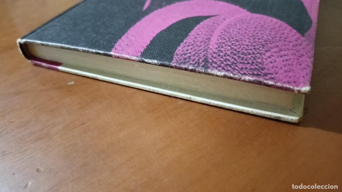 Libros de segunda mano: Querido - Colette - Foto 3