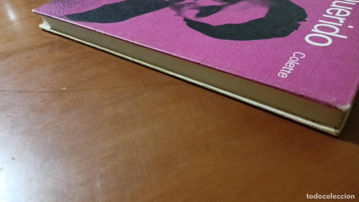 Libros de segunda mano: Querido - Colette - Foto 4