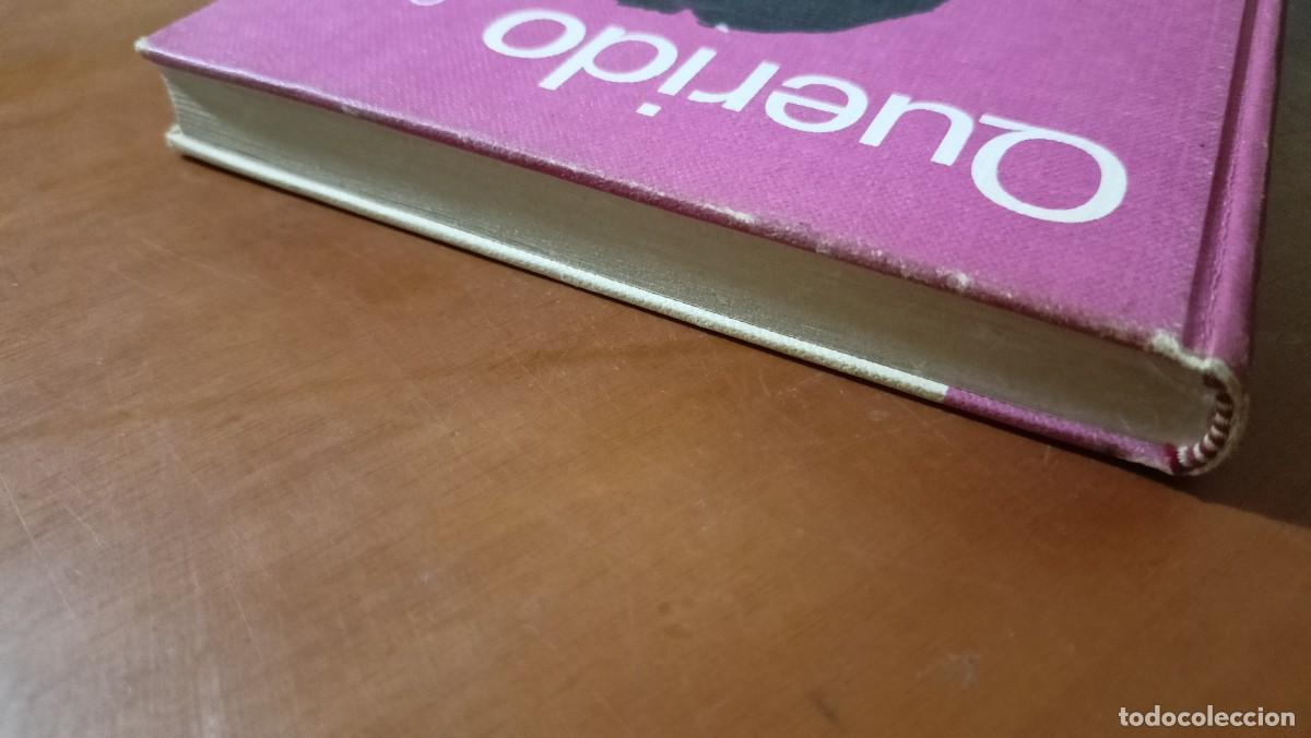 Libros de segunda mano: Querido - Colette - Foto 5