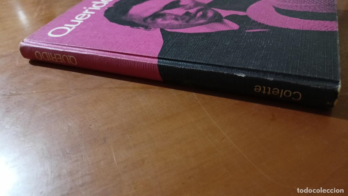 Libros de segunda mano: Querido - Colette - Foto 6