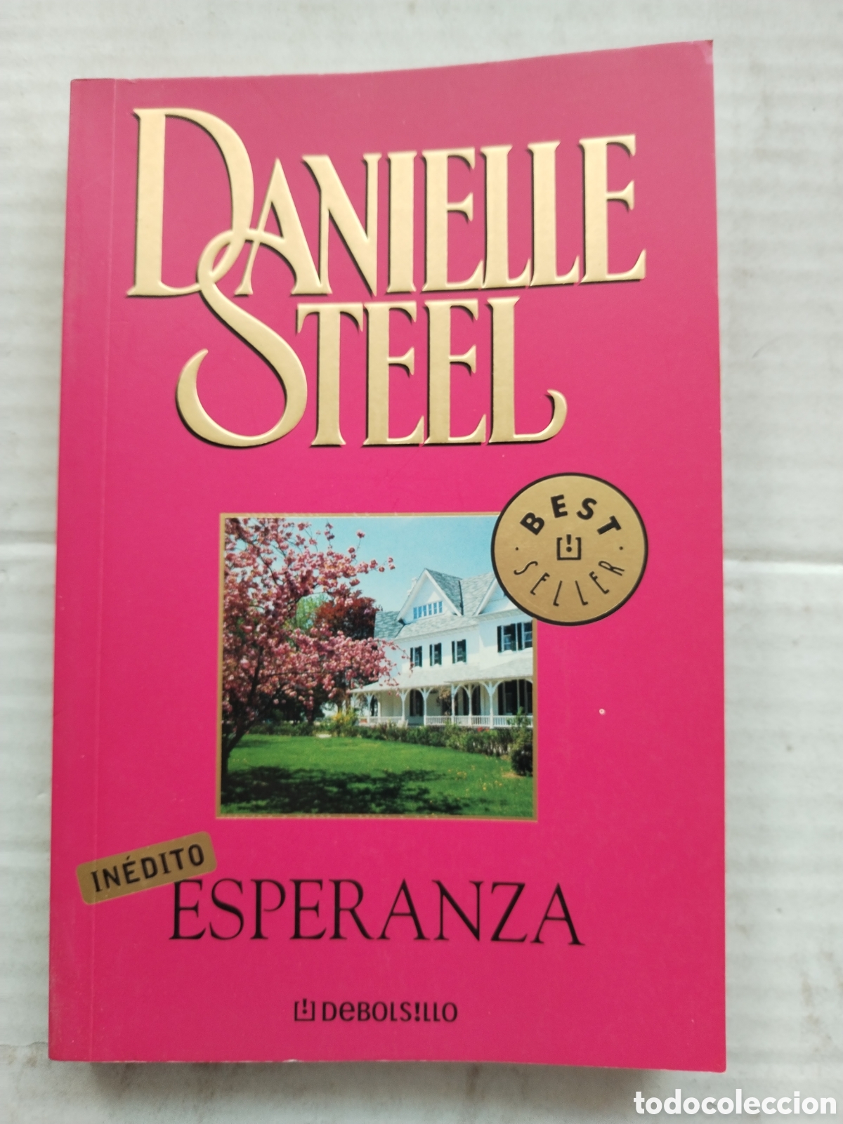 Libros de segunda mano: ESPERANZA/DANIELLE STEEL - Foto 1