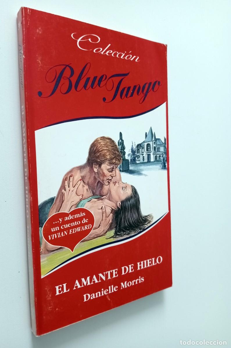 Libros de segunda mano: LIBRO EL AMANTE DE HIELO DE DANIELLE MORRIS - Foto 1