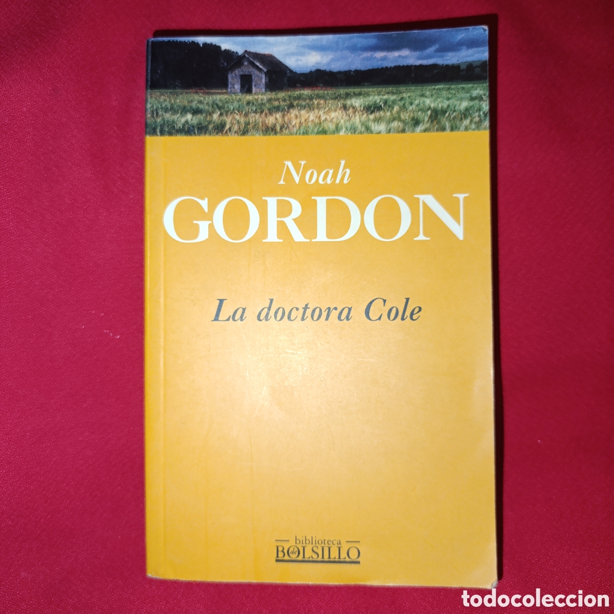 Libros de segunda mano: NOAH GORDON - LA DOCTORA COLE - Foto 1