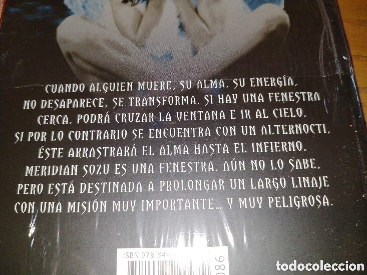 Libros de segunda mano: Meridian. Amber Kizer - Foto 2