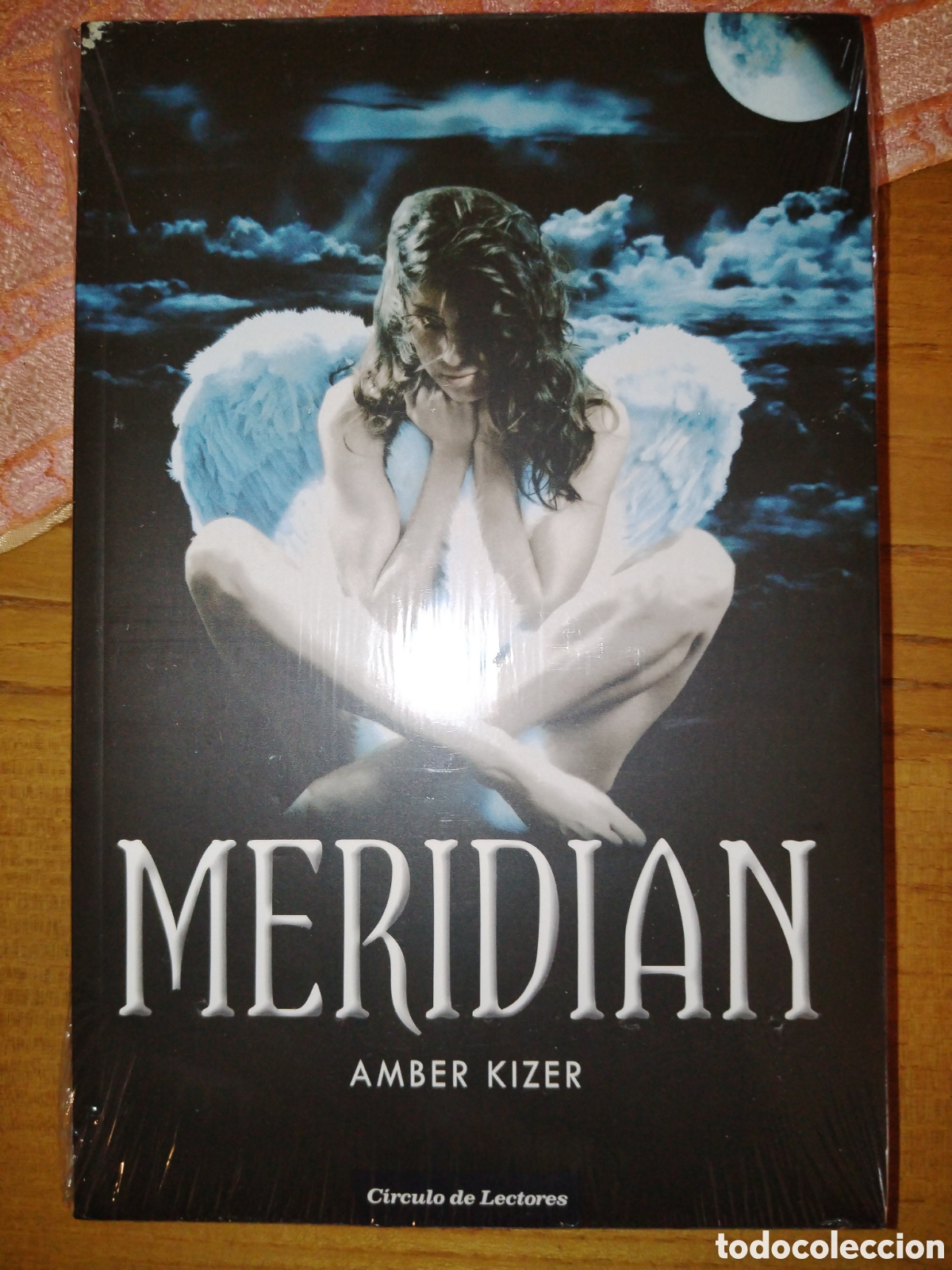 Libros de segunda mano: Meridian. Amber Kizer - Foto 1