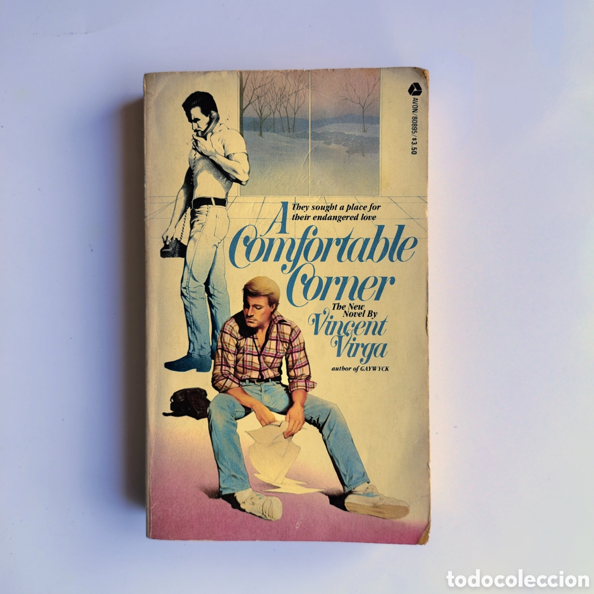 Libros de segunda mano: A Comfortable Corner by Vincent Virga &ndash; Avon Books (1982)
