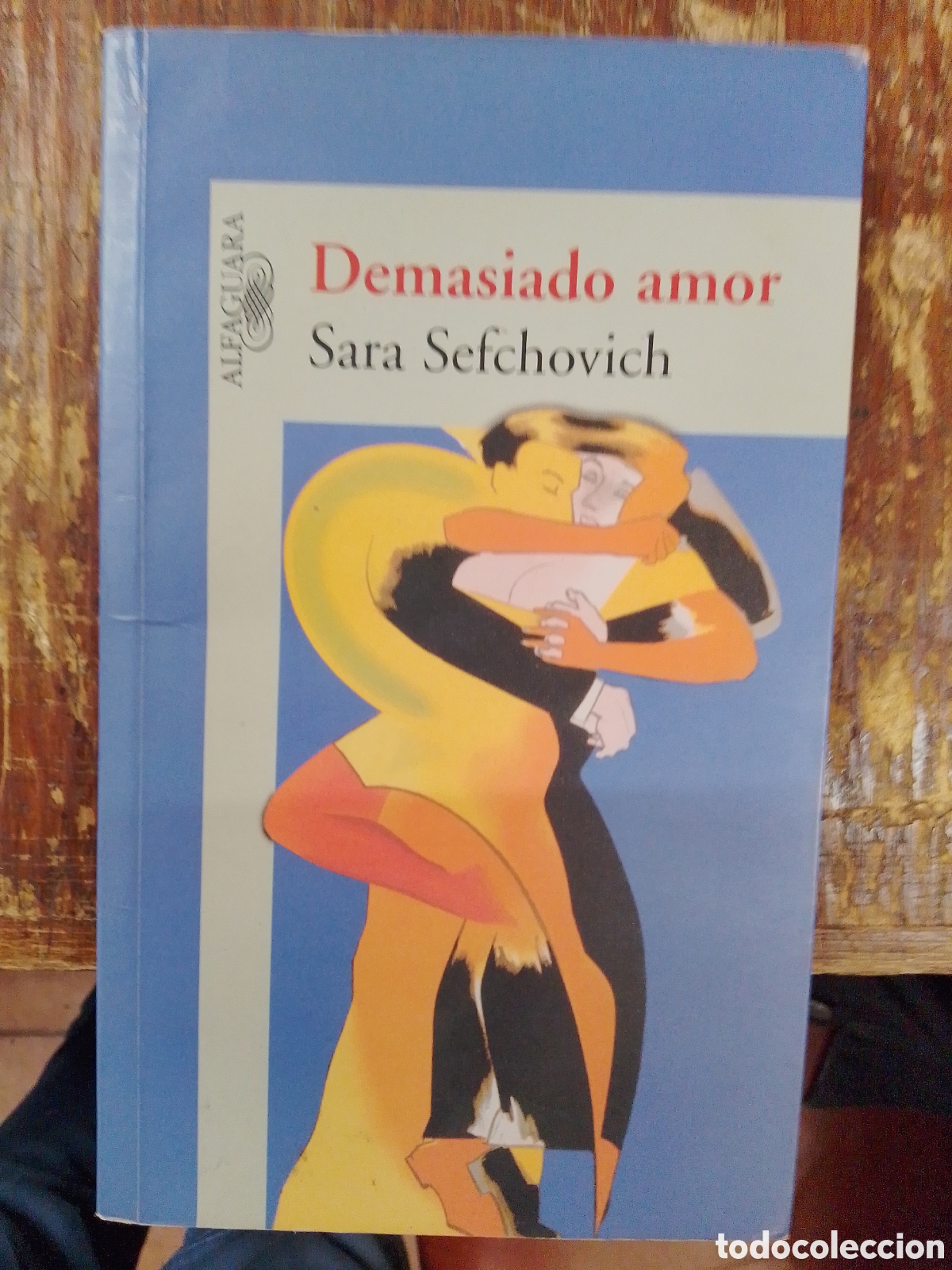 Libros de segunda mano: DEMASIADO AMOR. SEFCHOVICH, SARA. ALFAGUARA. 2002