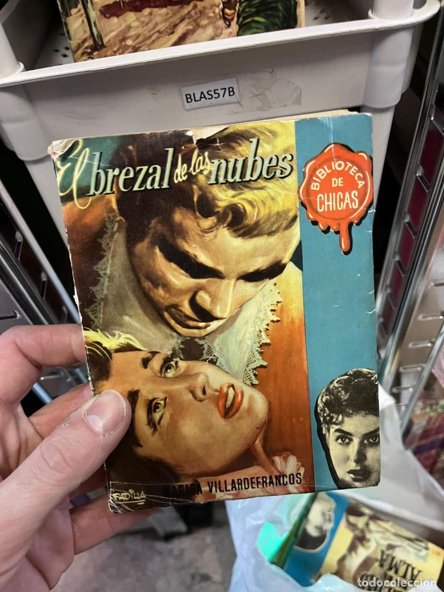 Libros de segunda mano: BLAS57B EL BREZAL DE LAS NUBES, MARISA VILLARDEFRANCOS